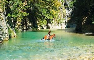 White Orchid Luisia in Vola