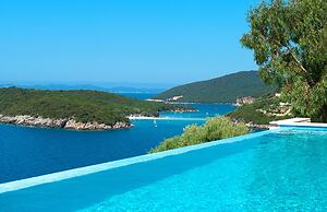 White Orchid Luisia in Vola