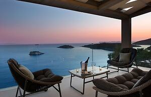 White Orchid Luisia in Vola