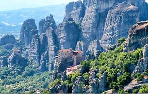 White Orchid Luisia in Vola