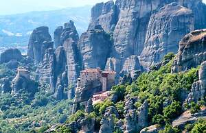 White Orchid Arundina