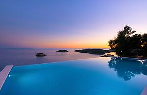 White Orchid Arundina