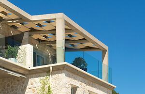 White Orchid Arundina