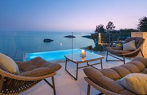 White Orchid Arundina