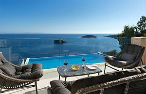 White Orchid Arundina