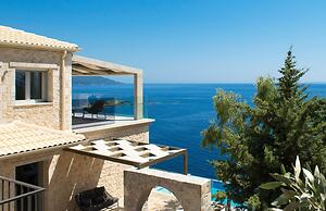 White Orchid Arundina