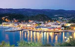 White Orchid Arundina