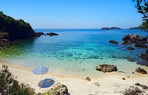 White Orchid Laelia in Vola