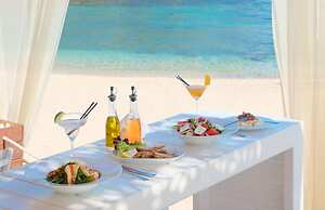 White Orchid Laelia in Vola