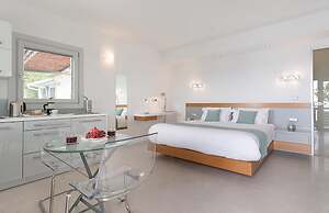 White Orchid Laelia in Vola