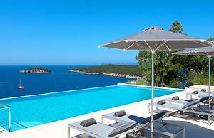 White Orchid Laelia in Vola