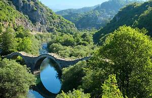White Orchid Laelia in Vola