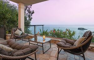 White Orchid Laelia in Vola