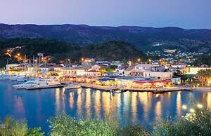 White Orchid Laelia in Vola