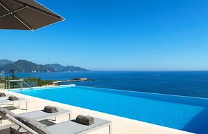 White Orchid Vanda in Vola