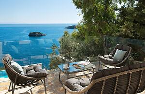 White Orchid Vanda in Vola