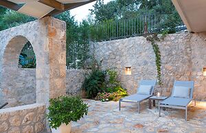 White Orchid Vanda in Vola