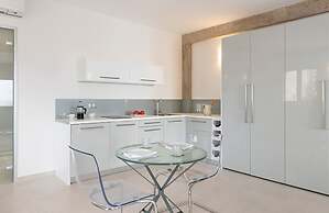 White Orchid Vanda in Vola