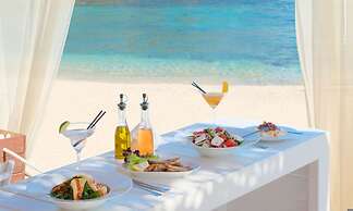 White Orchid Vanda in Vola