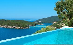 White Orchid Vanda in Vola