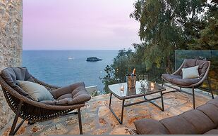 White Orchid Vanda in Vola