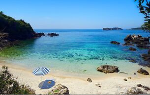 White Orchid Vanda in Vola