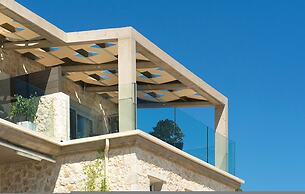 White Orchid Vanda in Vola