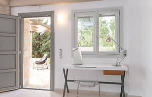 White Orchid Vanda in Vola