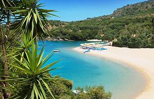 White Orchid Calanthe