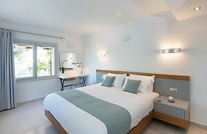 White Orchid Calanthe