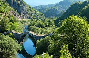 White Orchid Calanthe