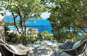 White Orchid Calanthe