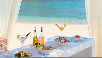 White Orchid Calanthe