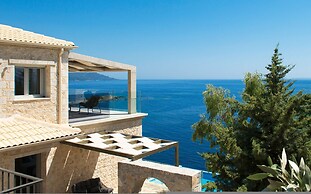 White Orchid Calanthe