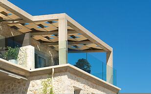 White Orchid Calanthe