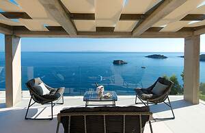 White Orchid Kinabalu