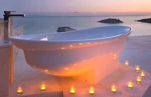 White Orchid Kinabalu