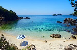 White Orchid Kinabalu