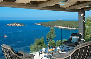 White Orchid Kinabalu