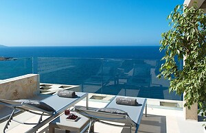 White Orchid Kinabalu