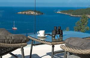 White Orchid Kinabalu