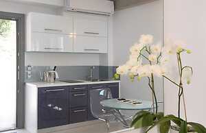 White Orchid Kinabalu