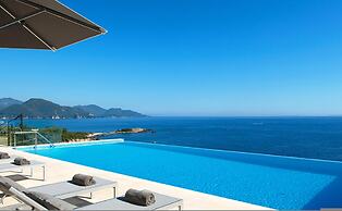 White Orchid Kinabalu