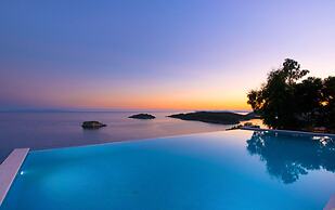 White Orchid Kinabalu