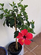 Beautiful Spacious Villa in Playa Blanca