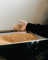 Asolo Norah's Hill Agri Rooms