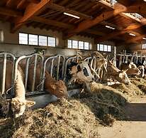 Asolo Norah's Hill Agri Rooms