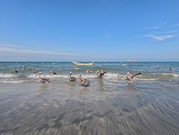 Hotel Porto Horizonte All Inclusive by oxoHotel