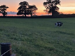 Umberleigh Cabin Retreat W/fire pit