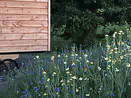 Umberleigh Cabin Retreat W/fire pit